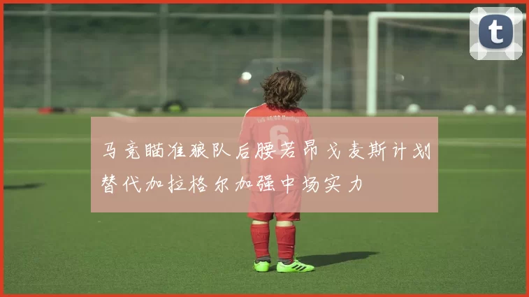 马竞瞄准狼队后腰若昂戈麦斯计划替代加拉格尔加强中场实力